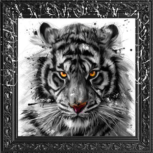 White Tiger (Tigre) - Patrice Murciano